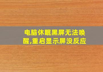 电脑休眠黑屏无法唤醒,重启显示屏没反应