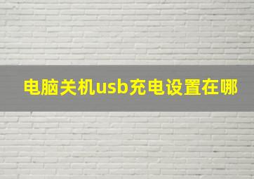 电脑关机usb充电设置在哪