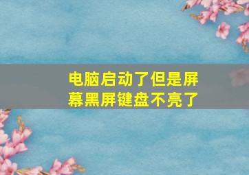 电脑启动了但是屏幕黑屏键盘不亮了