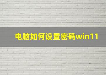 电脑如何设置密码win11