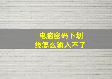 电脑密码下划线怎么输入不了