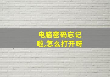 电脑密码忘记啦,怎么打开呀