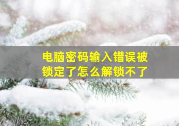 电脑密码输入错误被锁定了怎么解锁不了