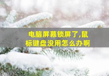 电脑屏幕锁屏了,鼠标键盘没用怎么办啊