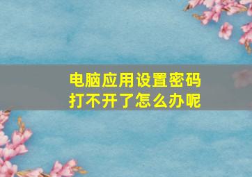 电脑应用设置密码打不开了怎么办呢