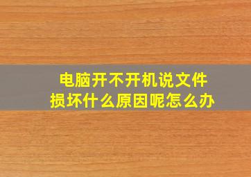 电脑开不开机说文件损坏什么原因呢怎么办