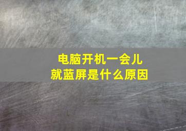 电脑开机一会儿就蓝屏是什么原因