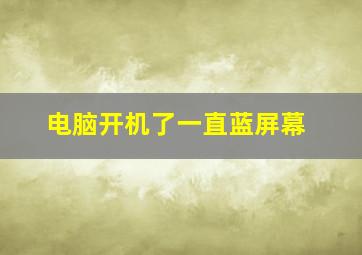 电脑开机了一直蓝屏幕