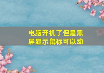 电脑开机了但是黑屏显示鼠标可以动