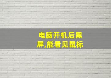 电脑开机后黑屏,能看见鼠标