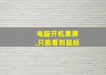 电脑开机黑屏,只能看到鼠标