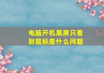 电脑开机黑屏只看到鼠标是什么问题