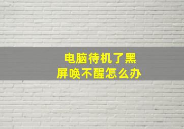 电脑待机了黑屏唤不醒怎么办