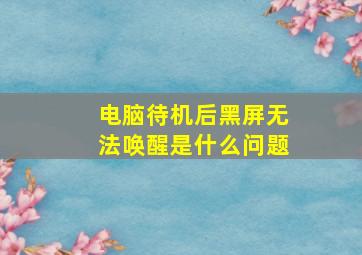 电脑待机后黑屏无法唤醒是什么问题