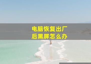 电脑恢复出厂后黑屏怎么办