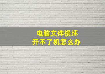 电脑文件损坏开不了机怎么办