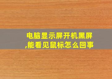 电脑显示屏开机黑屏,能看见鼠标怎么回事