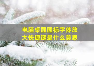 电脑桌面图标字体放大快捷键是什么意思