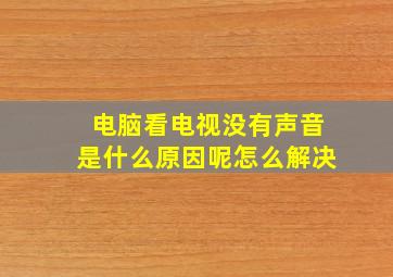 电脑看电视没有声音是什么原因呢怎么解决