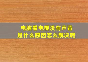 电脑看电视没有声音是什么原因怎么解决呢