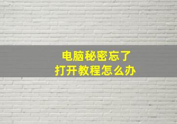 电脑秘密忘了打开教程怎么办