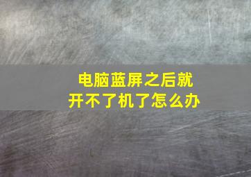 电脑蓝屏之后就开不了机了怎么办