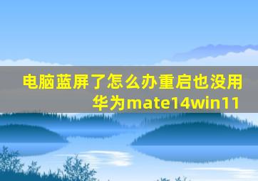 电脑蓝屏了怎么办重启也没用华为mate14win11