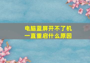 电脑蓝屏开不了机一直重启什么原因