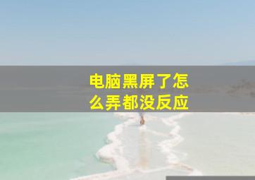 电脑黑屏了怎么弄都没反应