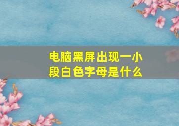 电脑黑屏出现一小段白色字母是什么