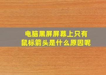 电脑黑屏屏幕上只有鼠标箭头是什么原因呢