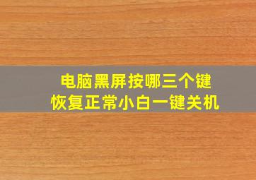 电脑黑屏按哪三个键恢复正常小白一键关机