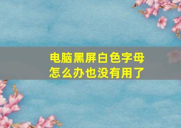 电脑黑屏白色字母怎么办也没有用了