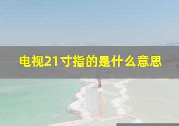 电视21寸指的是什么意思