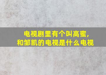 电视剧里有个叫高蜜,和邹凯的电视是什么电视