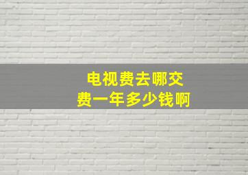 电视费去哪交费一年多少钱啊