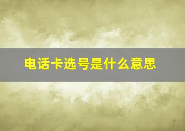 电话卡选号是什么意思