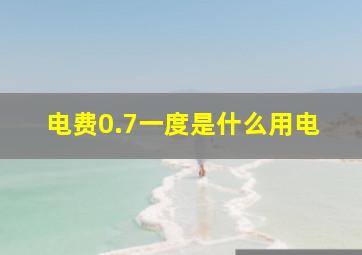 电费0.7一度是什么用电