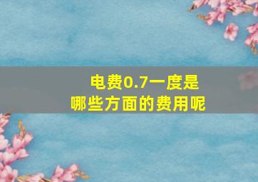 电费0.7一度是哪些方面的费用呢