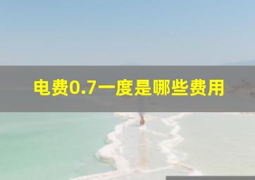 电费0.7一度是哪些费用