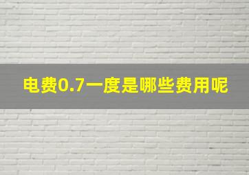 电费0.7一度是哪些费用呢