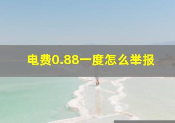 电费0.88一度怎么举报