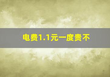 电费1.1元一度贵不