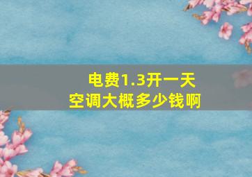 电费1.3开一天空调大概多少钱啊