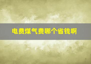 电费煤气费哪个省钱啊