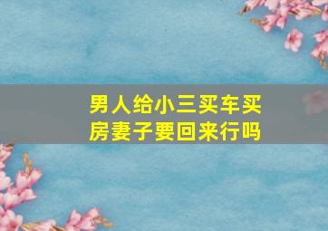 男人给小三买车买房妻子要回来行吗