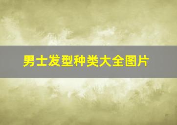 男士发型种类大全图片