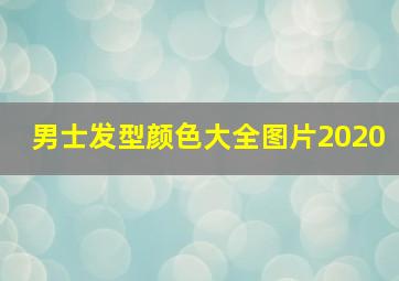 男士发型颜色大全图片2020