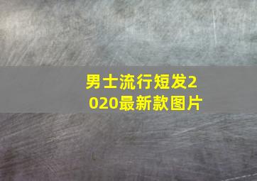 男士流行短发2020最新款图片