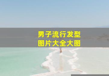 男子流行发型图片大全大图